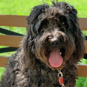 Meet your Posher, Mia